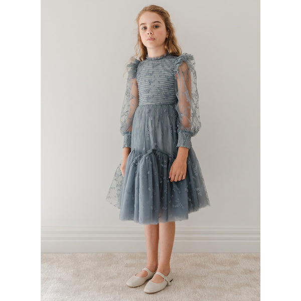 Petite Amalie Steel Blue Flocked Velvet Tulle Dress