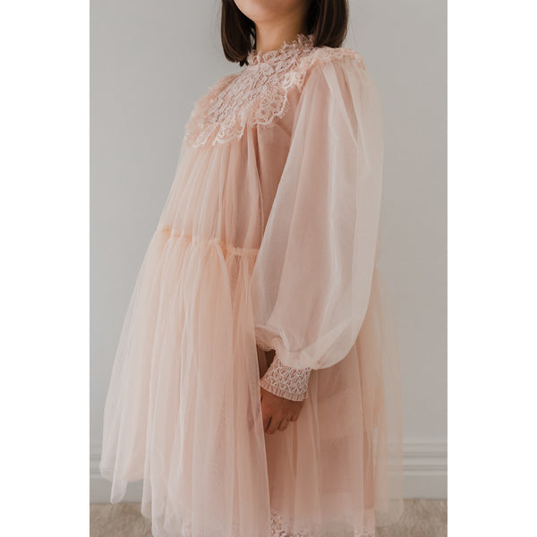 Petite Amalie Blush French Lace Tulle Babydoll Dress