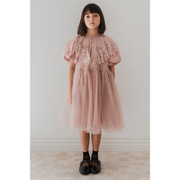 Petite Amalie Mauve Lace Collar Tulle Babydoll Dress