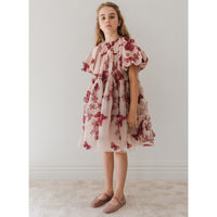 Gold Label By Petite Amalie Mauve/Burgundy Butterfly Dress