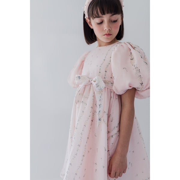 Petite Amalie Delicate Border Print Silk Linen Dress