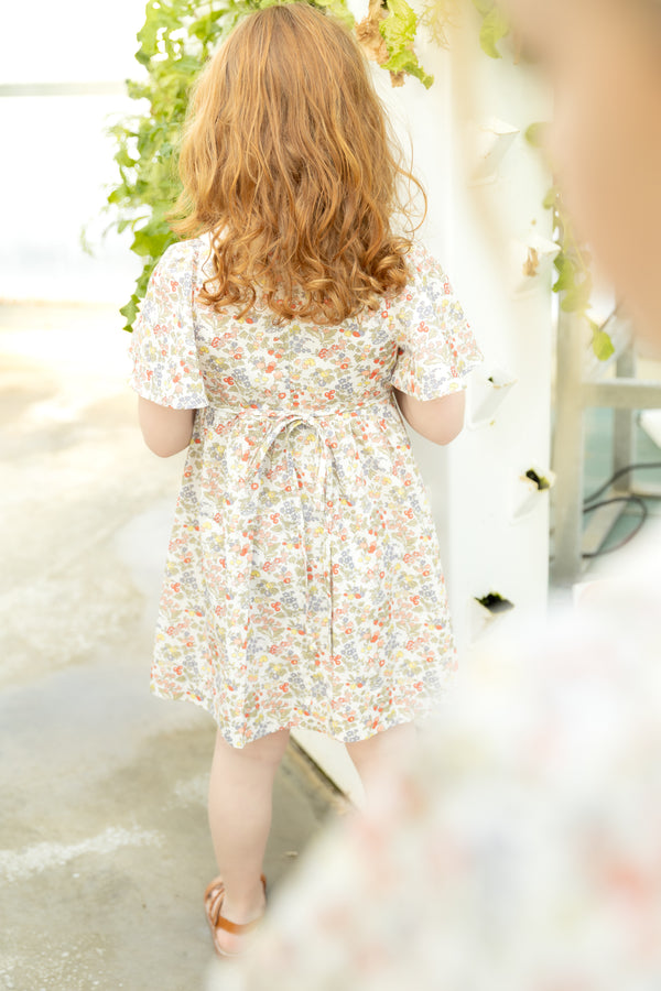 Nounelle Strawberry Embroidered Dress