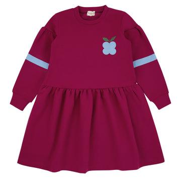 Bondoux Bold Print Berry Dress (263DR)