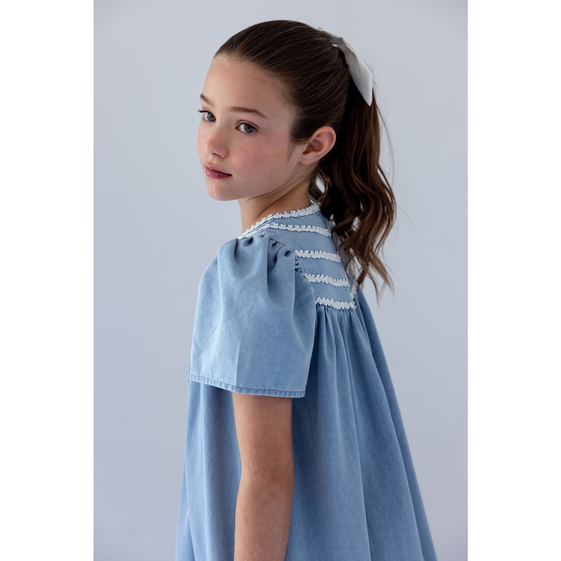 Steph Light Chambray Daisy Chain Dress (8211D)
