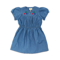 Wander + Wonder Washed Indigo Freya Dess