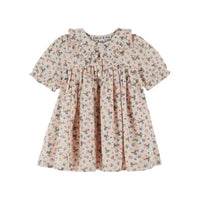 Emile Et Ida Wide Printed Dress (AD045C) - Bergere