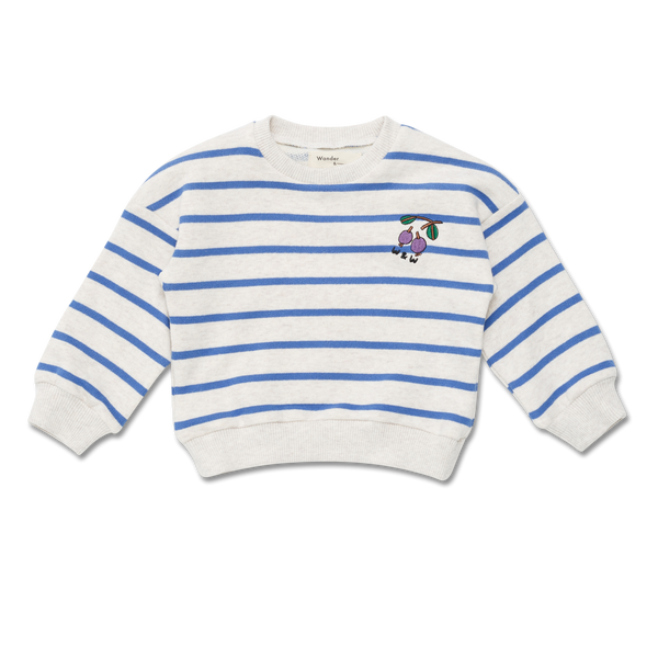 Wander + Wonder Blue Stripe Baby Sweatshirt