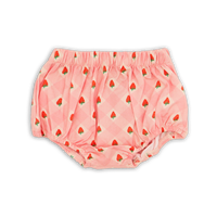 Wander + Wonder Strawberry Stripe Check Baby Bloomers