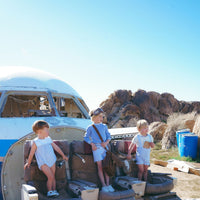 Coco Blanc Blue Striped Double Breasted Shorts