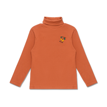 Wander + Wonder Terra Cotta Rib Turtleneck