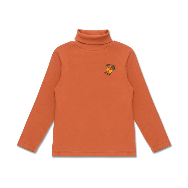 Wander + Wonder Terra Cotta Rib Turtleneck