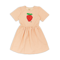 Wander + Wonder Blush Stripe Lowri Dress