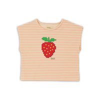 Wander + Wonder Strawberry Stripe Square Crop Top