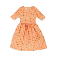 Wander + Wonder Pink Straberry Check Tilly Dress