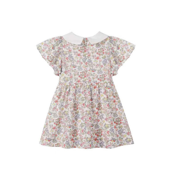 Nounelle Strawberry Embroidered Dress