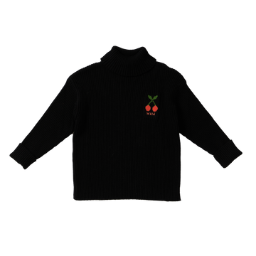 Wander & Wonder Black Turtleneck Pullover
