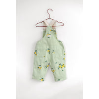 Please Mom Mint Lemon Overalls
