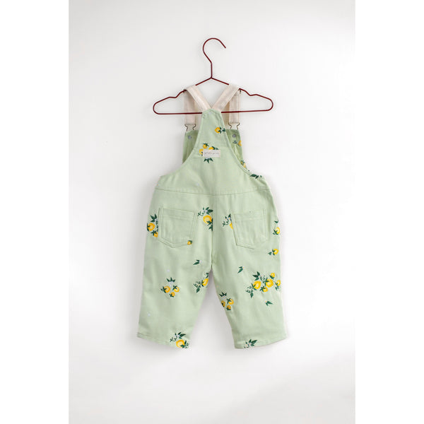 Please Mom Mint Lemon Overalls
