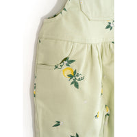 Please Mom Mint Lemon Overalls