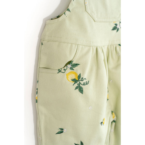 Please Mom Mint Lemon Overalls