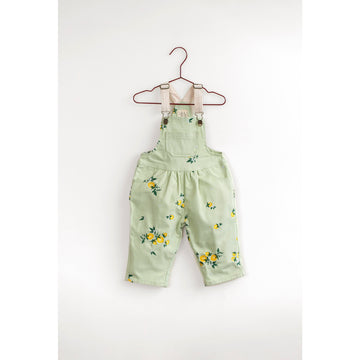 Please Mom Mint Lemon Overalls