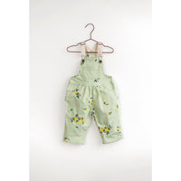 Please Mom Mint Lemon Overalls
