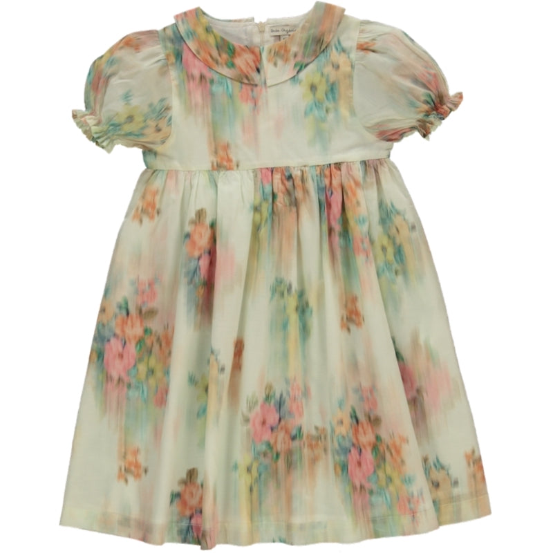 Bebe Organic Nostalgic florals Paris Special Dress- 3/4 Sleeves