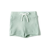 Anecdote Sage Ribbed Shorts (RR2448)