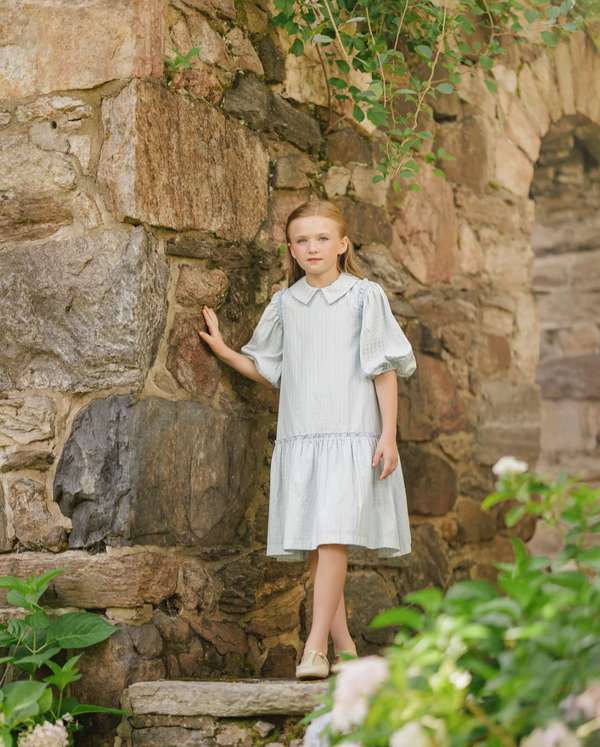 Velvette Label Blue Floral Stripe Dress