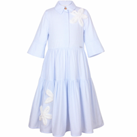 Jessie & James Sky Blue Pinstripe Era Dress