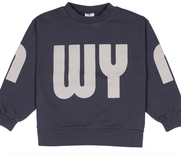 Wynken Slate Navy Scale Sweat