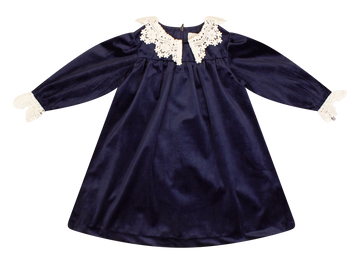 Klai Navy Velvet Dress