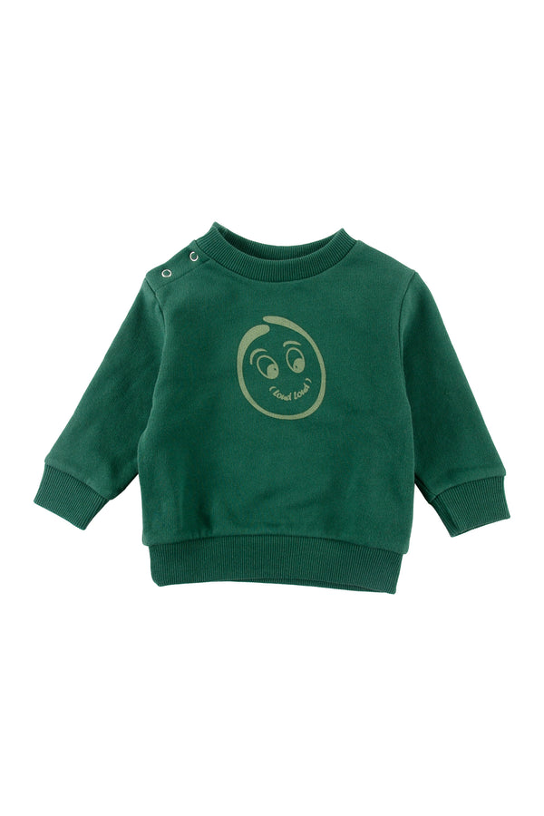 Loud Apparel Dark Green/Sage Sweater Regular Fit (Baby)