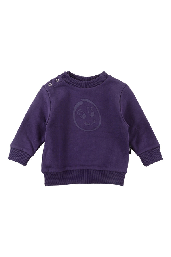 Loud Apparel Purple Indigo/Grapes Sweater Regular Fit (Baby)