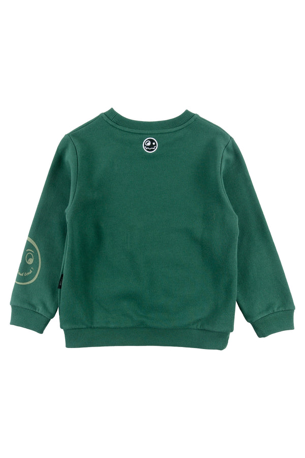 Loud Apparel Dark Green/Sage Sweater Regular Fit