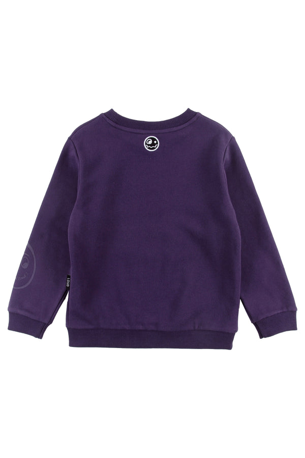 Loud Apparel Purple Indigo/Grapes Sweater Regular Fit