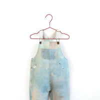 Please Mom Bird Denim Overalls