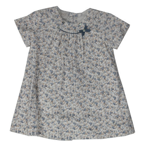 Velour Floral Print Dress